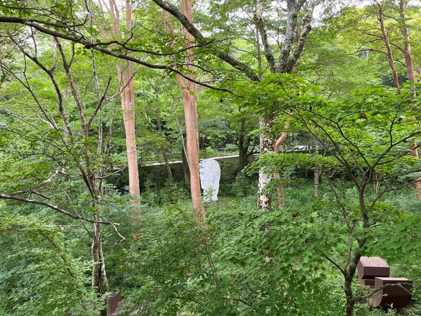 Fuji-Hakone Guest House Εξωτερικό φωτογραφία
