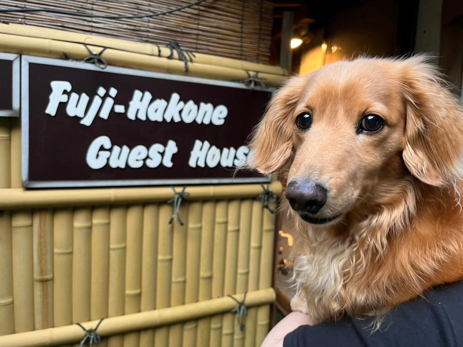 Fuji-Hakone Guest House Εξωτερικό φωτογραφία