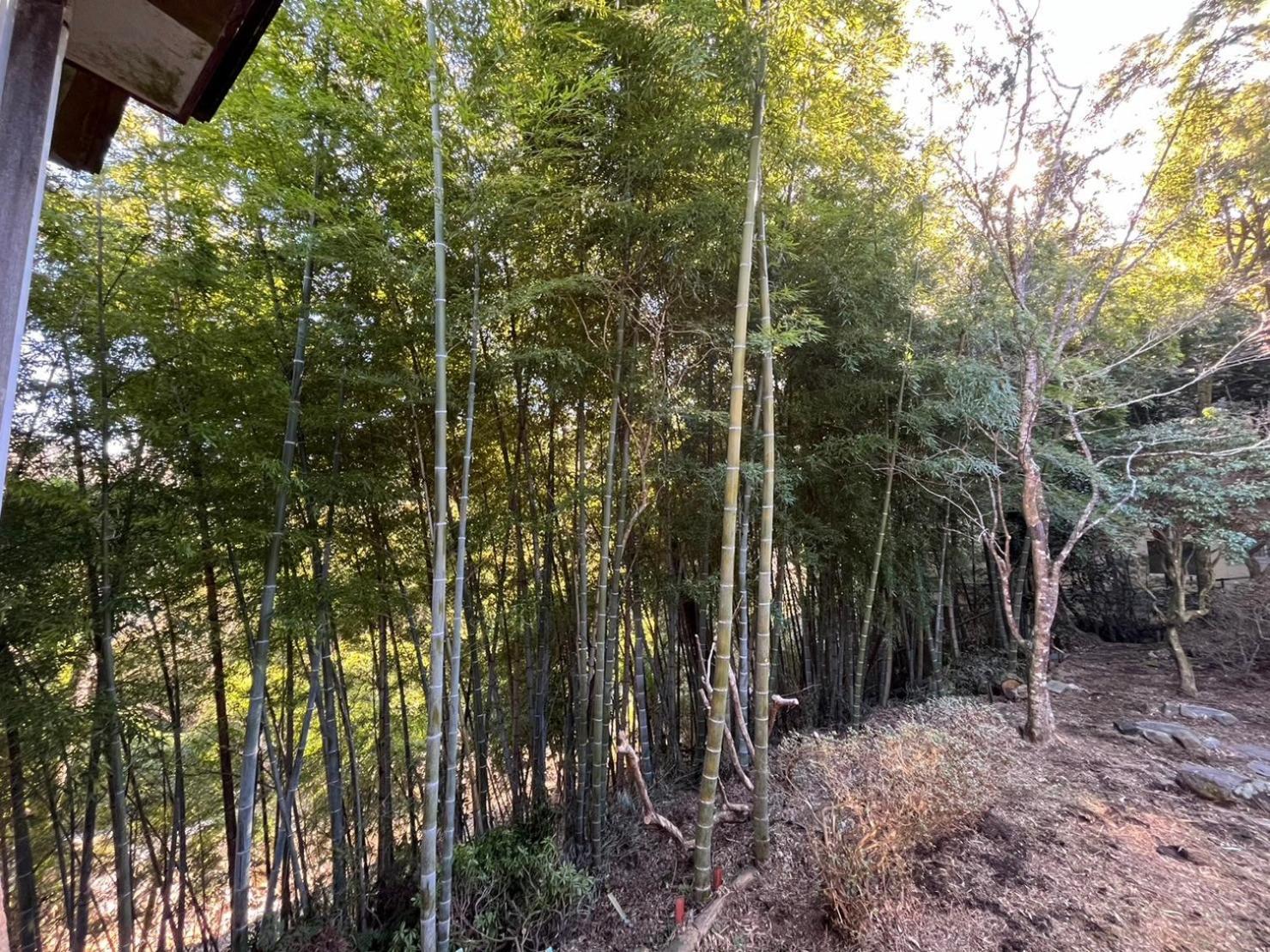 Fuji-Hakone Guest House Εξωτερικό φωτογραφία